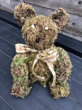 Brian the Moss Bear