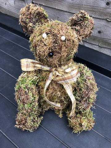 Brian the Moss Bear