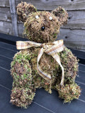 Brian the Moss Bear