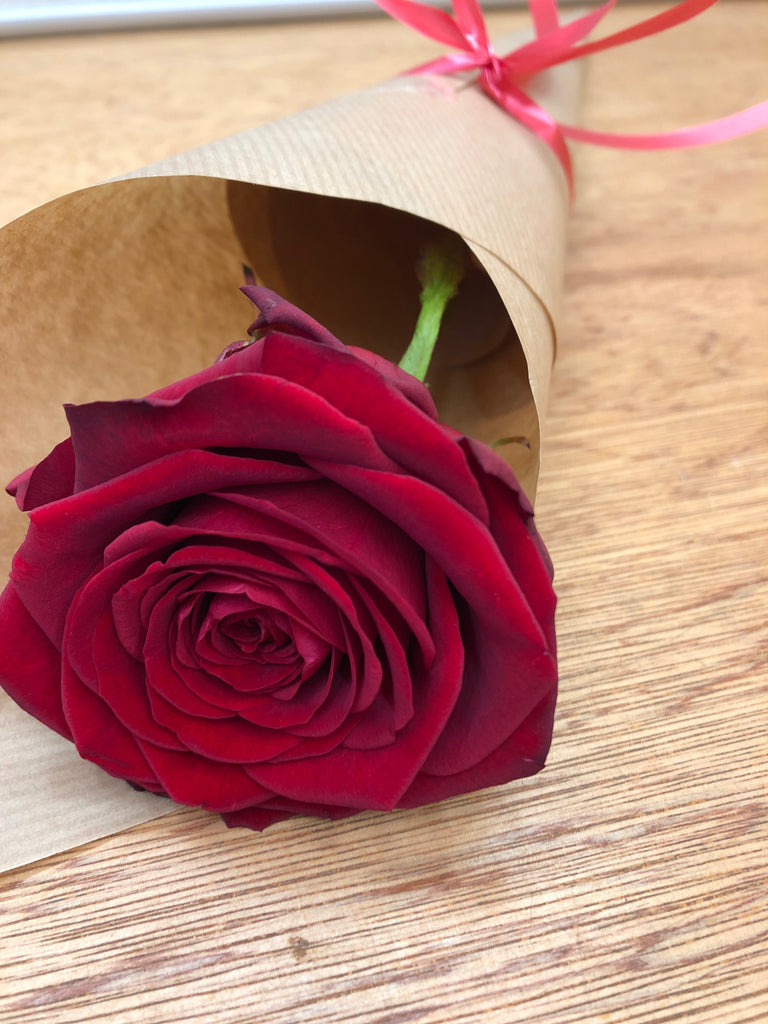 Single Red Rose Wrap – Chelmsford Florist