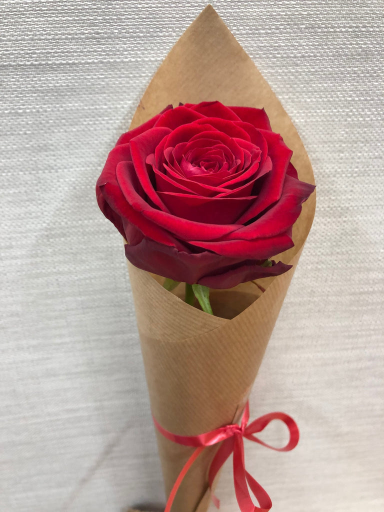 Single Red Rose Wrap Chelmsford Florist