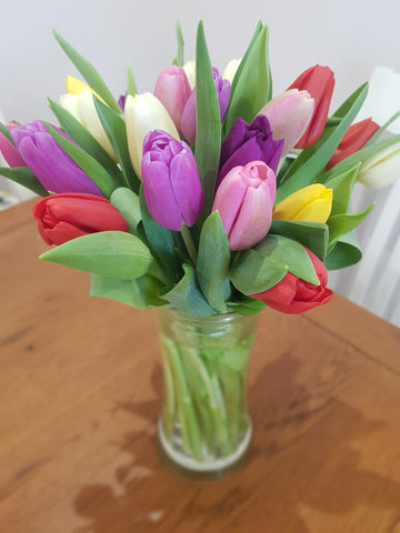 Mother's Day Tulips